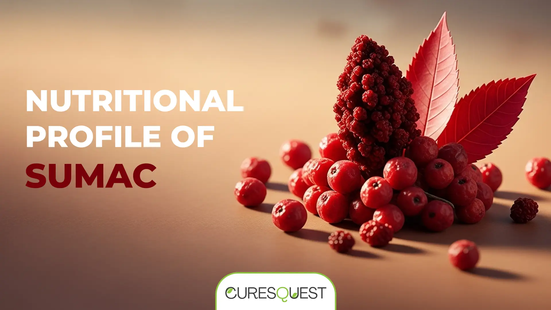 "Close-up of vibrant red sumac berries and leaves, with the text 'Nutritional Profile of Sumac' prominently displayed.