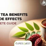 Steaming mug of sumac tea next to fresh sumac berries and leaves on a wooden table. The image title is 'Sumac Tea Benefits And Side Effects A Complete Guide'.