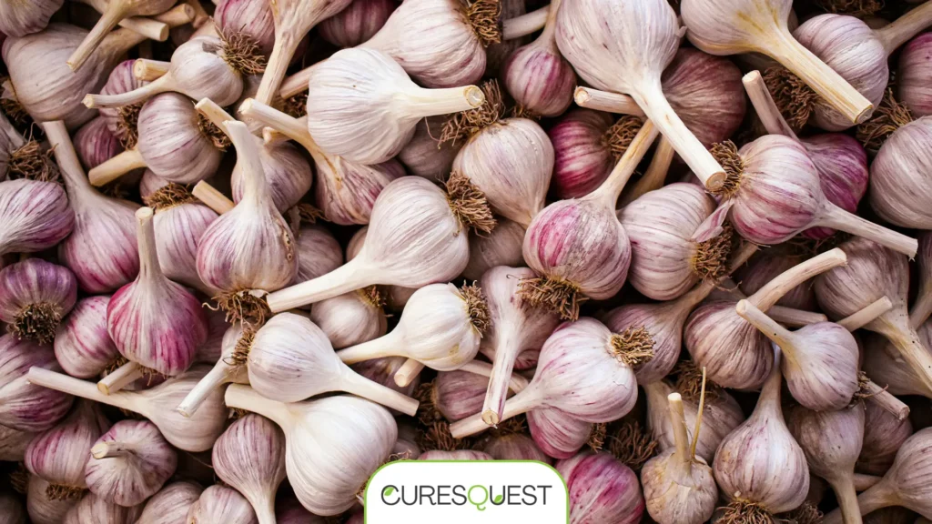 A pile of fresh garlic bulbs, some with a reddish-purple tint, known for being a natural antibiotic for bacterial infection.