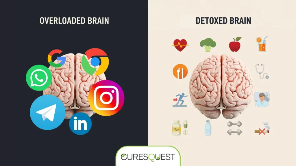 Infographic illustrating the contrast between an overloaded brain filled with digital inputs and a calm, focused brain after a mental detox.